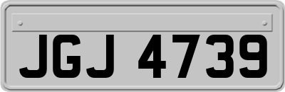 JGJ4739