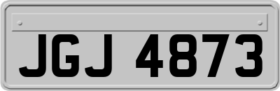 JGJ4873