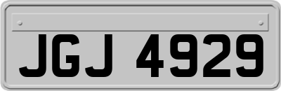 JGJ4929