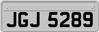 JGJ5289
