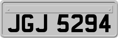 JGJ5294
