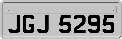 JGJ5295