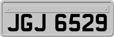 JGJ6529