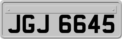 JGJ6645