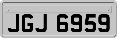 JGJ6959