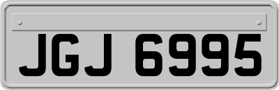 JGJ6995
