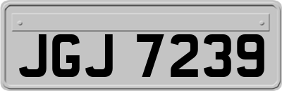 JGJ7239