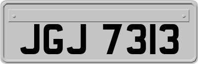 JGJ7313