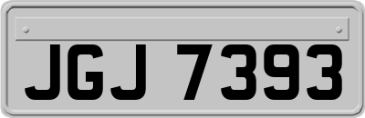 JGJ7393