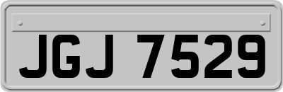 JGJ7529