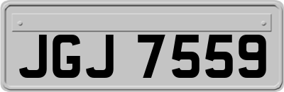 JGJ7559