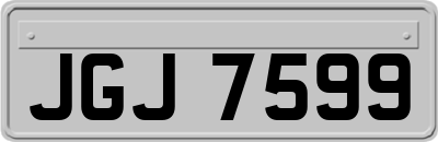 JGJ7599