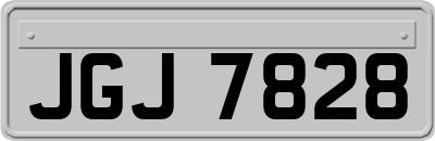 JGJ7828