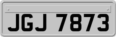 JGJ7873