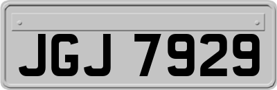 JGJ7929
