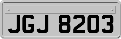 JGJ8203