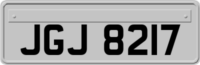 JGJ8217