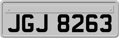 JGJ8263