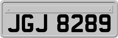 JGJ8289