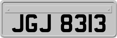 JGJ8313