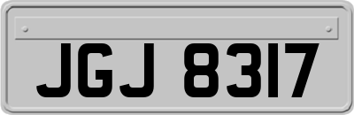 JGJ8317