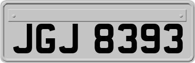 JGJ8393