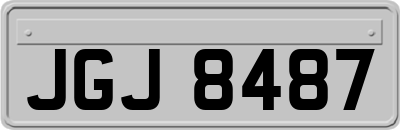 JGJ8487