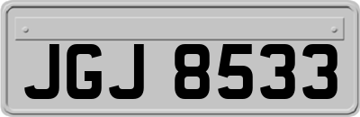 JGJ8533