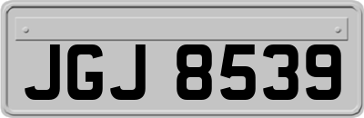 JGJ8539