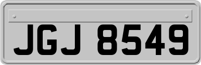 JGJ8549