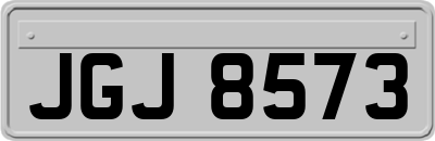 JGJ8573