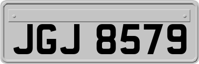 JGJ8579