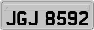 JGJ8592