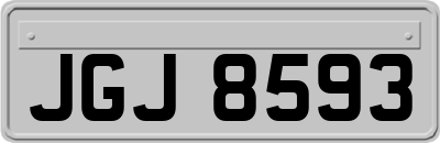 JGJ8593