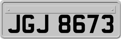 JGJ8673
