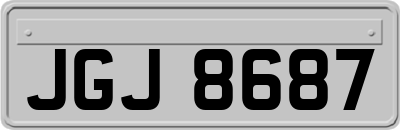 JGJ8687