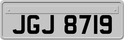 JGJ8719