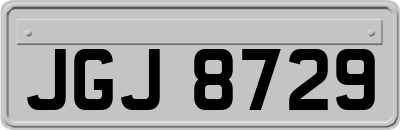 JGJ8729