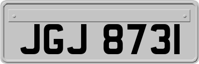 JGJ8731