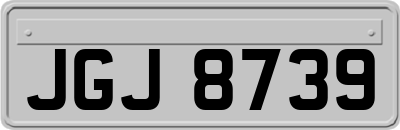 JGJ8739