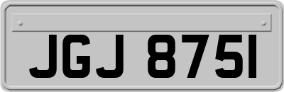 JGJ8751