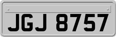 JGJ8757
