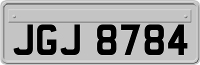 JGJ8784