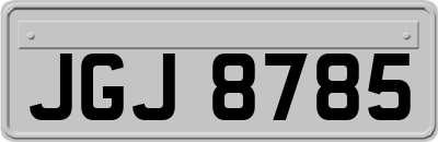 JGJ8785