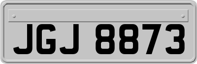 JGJ8873