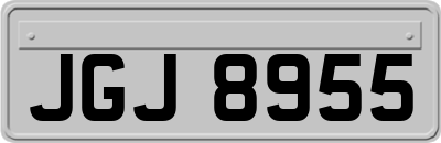 JGJ8955