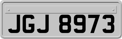 JGJ8973