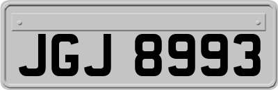 JGJ8993