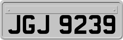 JGJ9239