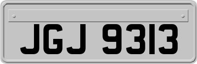 JGJ9313